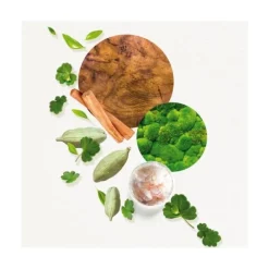 AnnayakéKogaï For Him                Eau de Toilette