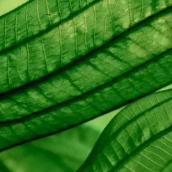 BiothermAquaSource Deep Revitalizer                Sérum Concentré Hydratation Profonde & Lumière