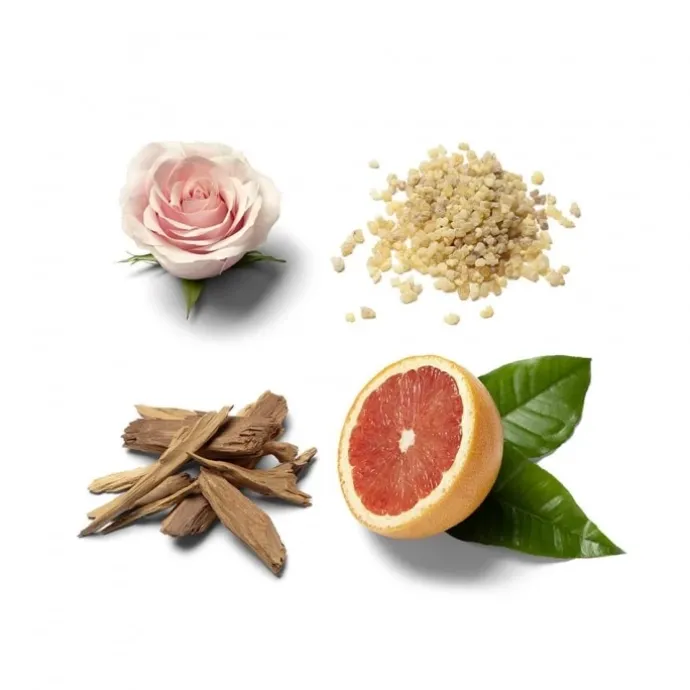 Brioni Eau de Parfum Éclat