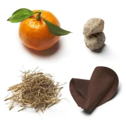 Brioni                Eau de Parfum Suave