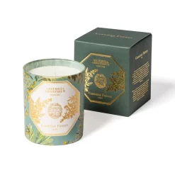 Carrière FrèresAbsinthe - Artemisia Absinthium                Bougie Parfumée