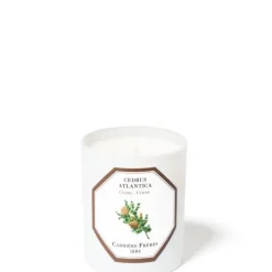 Carrière FrèresCèdre - Cedrus Atlantica                Bougie Parfumée