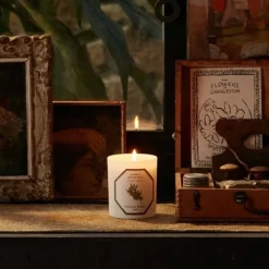 Carrière FrèresCèdre - Cedrus Atlantica                Bougie Parfumée