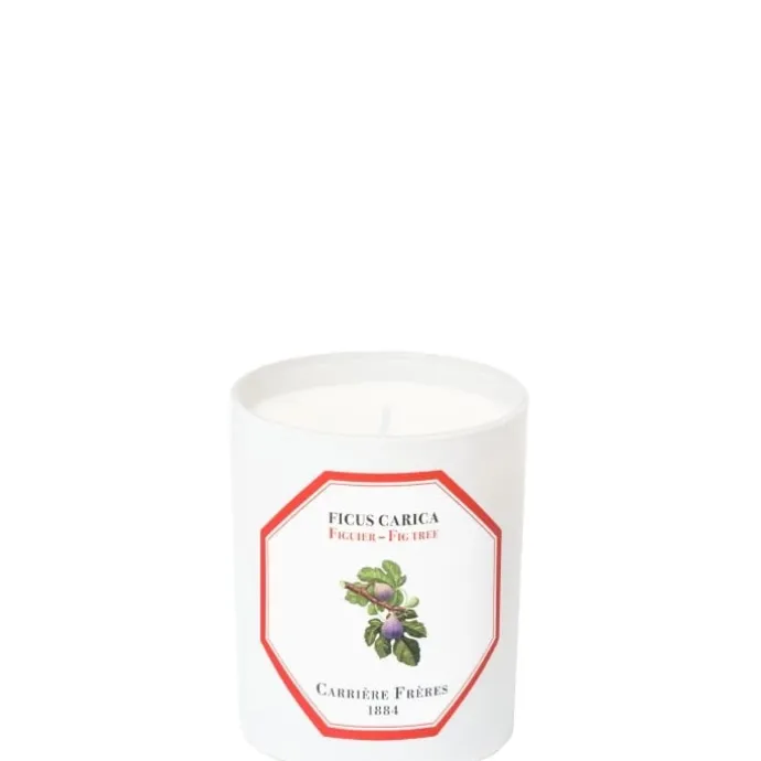Carrière FrèresFiguier - Ficus Carica Bougie Parfumée