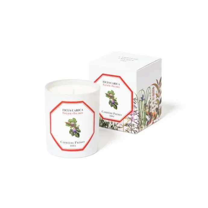 Carrière FrèresFiguier - Ficus Carica Bougie Parfumée