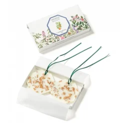 Carrière FrèresFleur d'Oranger - Citrus Dulcis                Palet Botanique