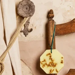 Carrière FrèresFleur d'Oranger - Citrus Dulcis Palet Botanique