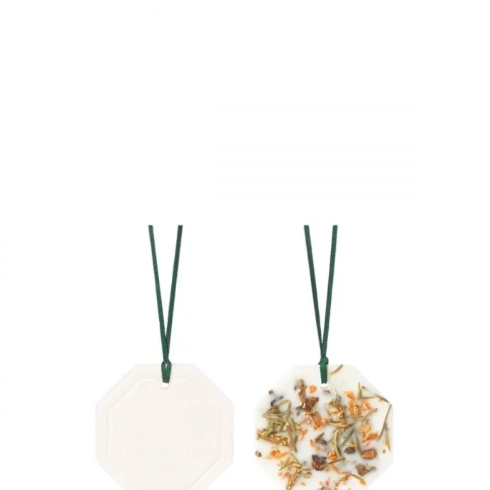 Carrière FrèresForêt d'Hiver Palet Botanique