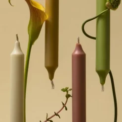 Carrière FrèresHerbes & Plantes                Chandelle Parfumée