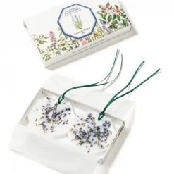 Carrière FrèresLavande - Lavandula Angustifolia                Palet Botanique