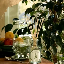 Carrière FrèresMenthe Verte - Mentha Spicata                Diffuseur de Parfum