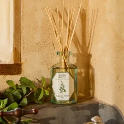 Carrière FrèresMenthe Verte - Mentha Spicata                Diffuseur de Parfum