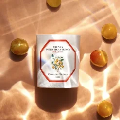 Carrière FrèresMirabelle - Prunus Domestica Syrica                Bougie Parfumée