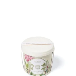 Carrière FrèresPlumeria - Frangipanier                Recharge Bougie Parfumée