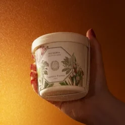 Carrière FrèresPlumeria - Frangipanier                Recharge Bougie Parfumée