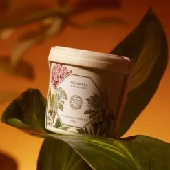 Carrière FrèresPlumeria - Frangipanier                Recharge Bougie Parfumée