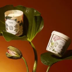 Carrière FrèresPlumeria - Frangipanier                Bougie Parfumée