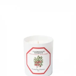 Carrière FrèresPoivre du Sichuan - Zanthoxylum Piperitum                Bougie Parfumée