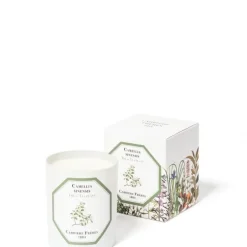 Carrière FrèresThé - Camelia Sinensis                Bougie Parfumée