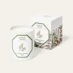 Carrière FrèresThé - Camelia Sinensis                Bougie Parfumée