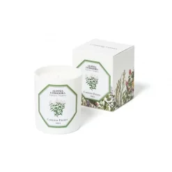 Carrière FrèresVerveine - Aloysia Citrodora                Bougie Parfumée