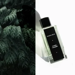 CarvenParis Tanger                Eau de Parfum