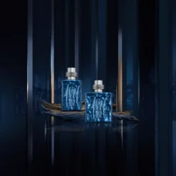 Cerruti 1881 Silver Night                Eau de Parfum