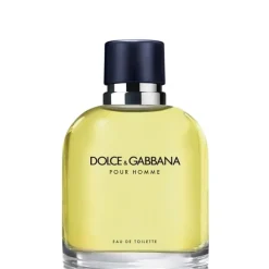 Dolce&Gabbana pour Homme                Eau de Toilette