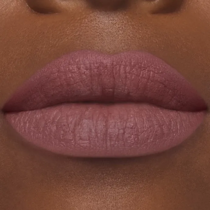 ESTEE LAUDERPure Color                Rouge à Lèvres Mat