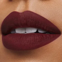 ESTEE LAUDERPure Color                Rouge à Lèvres Mat