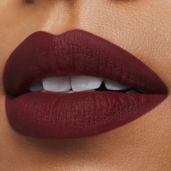 ESTEE LAUDERPure Color                Rouge à Lèvres Mat
