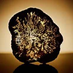 ESTEE LAUDERRe-Nutriv Ultimate Diamond                Sérum Yeux Révélateur d'Énergie