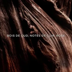 GUERLAINAbsolus Allegoria Oud Essentiel                Eau de Parfum