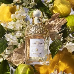 GUERLAINAqua Allegoria Bergamote Calabria                Eau de Toilette