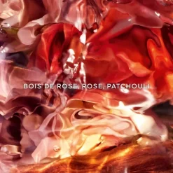 GUERLAINAqua Allegoria Forte Rosa Palissandro                 Eau de Parfum - Flacon Recharge