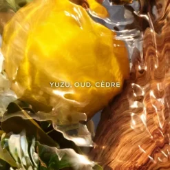 GUERLAINAqua Allegoria Forte Oud Yuzu                Eau de Parfum