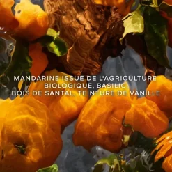 GUERLAINAqua Allegoria Forte Mandarine Basilic                Eau de Parfum