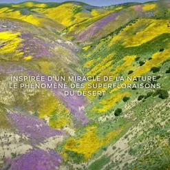 GUERLAINAqua Allegoria Forte Florabloom                Eau de Parfum