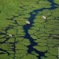 GUERLAINAqua Allegoria Herba Fresca                Eau de Toilette