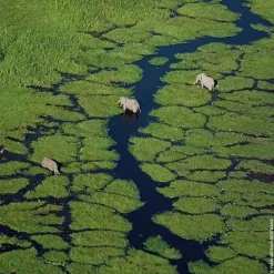 GUERLAINAqua Allegoria Rosa Verde                Eau de Toilette - Flacon-Recharge