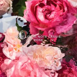 GUERLAINAqua Allegoria Rosa Rossa                Crème Mains