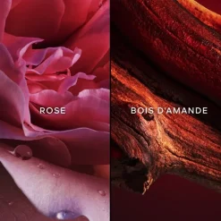 GUERLAINChamps Élysées                Eau de Toilette