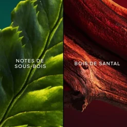 GUERLAINChant d'Arômes                Eau de Toilette