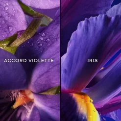 GUERLAINInsolence Eau de toilette