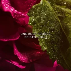 GUERLAINLa Petite Robe Noire                Eau de Parfum Absolue