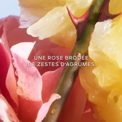 GUERLAINLa Petite Robe Noire                Eau de Toilette