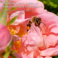 GUERLAINLa Petite Robe Noire Honey Rose                Eau de Parfum