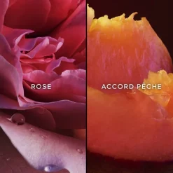 GUERLAINNahema                Eau de Parfum