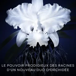 GUERLAINOrchidée Impériale                La Crème Légère - La Recharge
