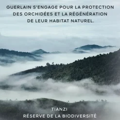 GUERLAINOrchidée Impériale                La Mousse en Crème